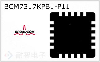 BCM7317KPB1-P11